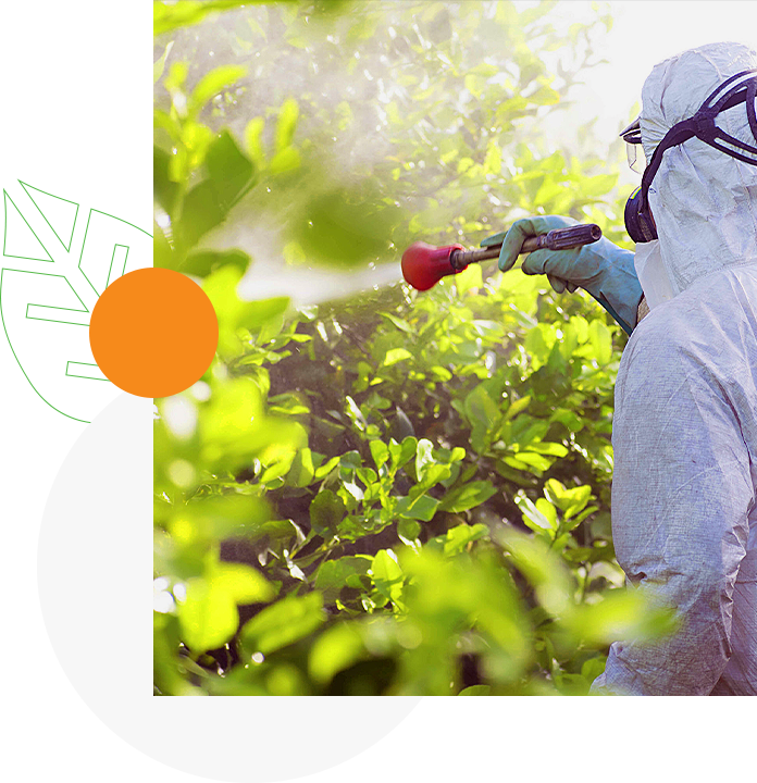 Insecticidas Ecológicos